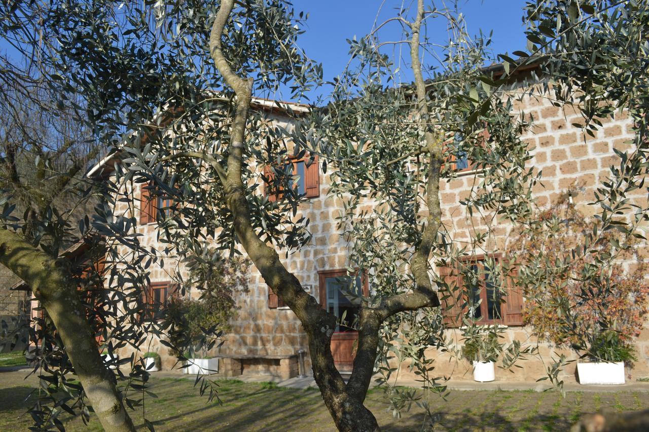 Agriturismo Le Forre Del Treja Vila Civita Castellana Exterior foto